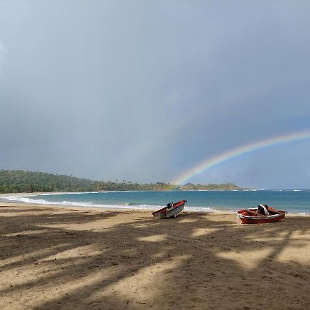 לינה וארוחת בוקר פוארטו פלטה Cabana Playa Cambiaso מראה חיצוני תמונה