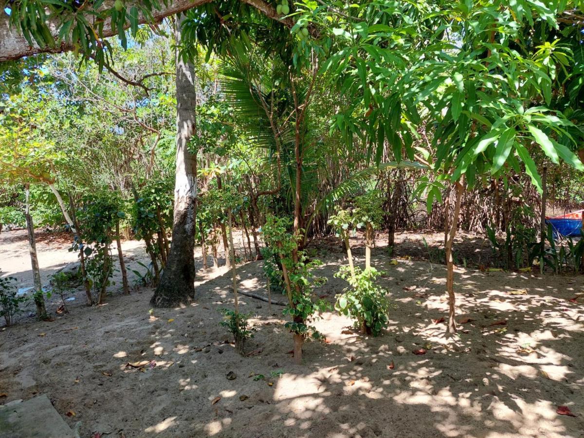 לינה וארוחת בוקר פוארטו פלטה Cabana Playa Cambiaso מראה חיצוני תמונה