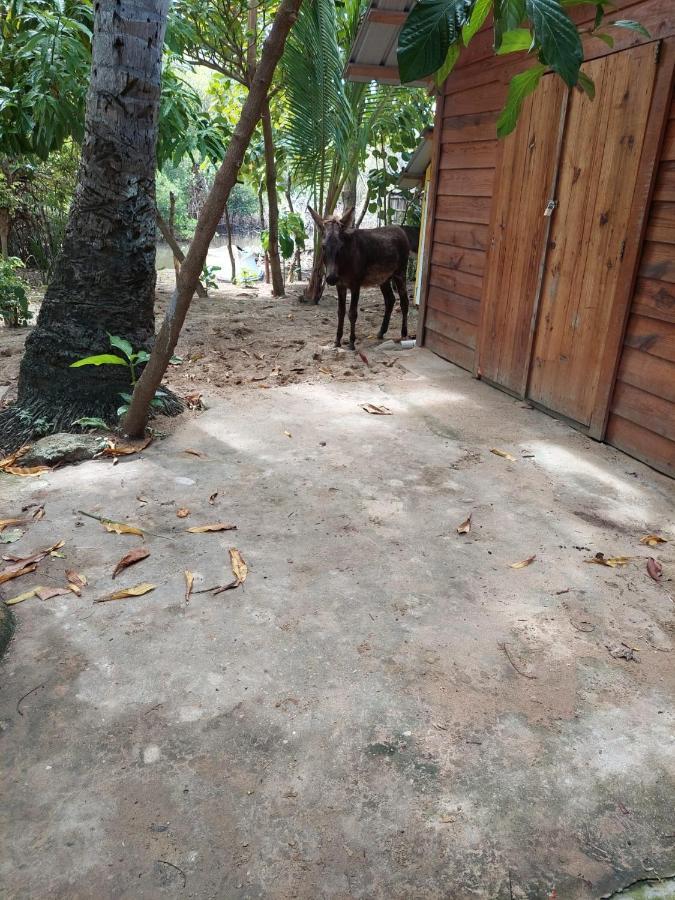 לינה וארוחת בוקר פוארטו פלטה Cabana Playa Cambiaso מראה חיצוני תמונה